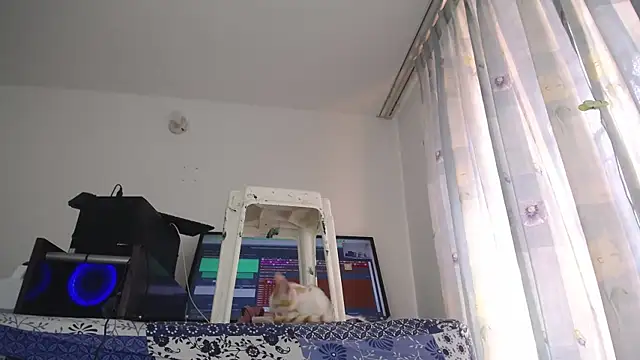 eolicasex online show from February 1, 2025, 7:44 pm