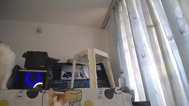 eolicasex online show from April 4, 2026, 4:26 pm