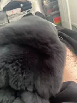 Furdale online show from March 14, 2025, 11:12 am