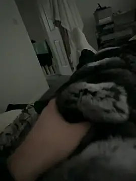 Furdale online show from February 2, 2026, 2:49 pm