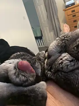 Furdale online show from April 1, 2026, 2:25 pm