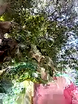 Nicolle Milf online show from September 24, 2025, 6:55 pm