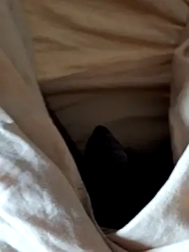 malluflash online show from February 12, 2026, 7:58 am