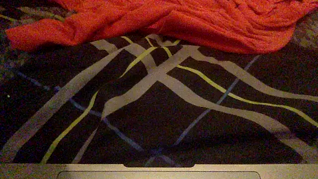 BBCforfur online show from February 16, 2025, 7:04 am