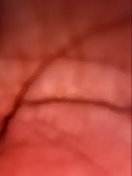 Snapshot of Samia_Queen chatting on October 4, 2025, 2:37 pm Samia Queen online show from October 4, 2025, 2:37 pm