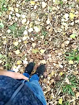 Boring one online show from October 29, 2025, 1:35 pm