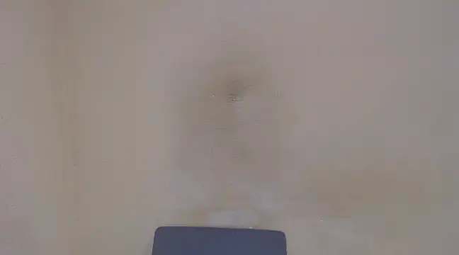 Snapshot of AlexNudo chatting on February 5, 2025, 4:58 pm AlexNudo online show from February 5, 2025, 4:58 pm