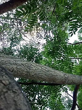 Keli Jessi online show from September 14, 2025, 1:21 pm