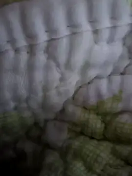 sutgibihatun online show from October 31, 2025, 7:59 pm