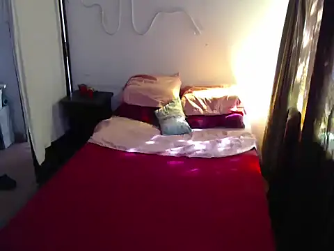 Snapshot of deftoolceles chatting on January 13, 2026, 12:21 pm deftoolceles online show from January 13, 2026, 12:21 pm