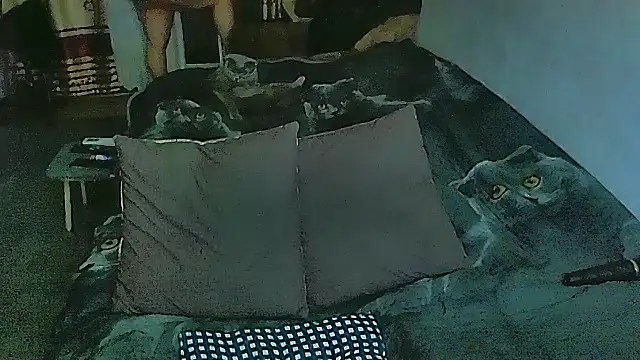 Snapshot of sex2 chatting on February 28, 2026, 11:06 pm sex2 online show from February 28, 2026, 11:06 pm