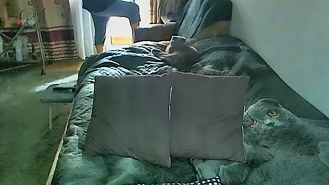 Snapshot of sex2 chatting on March 8, 2026, 2:04 am sex2 online show from March 8, 2026, 2:04 am