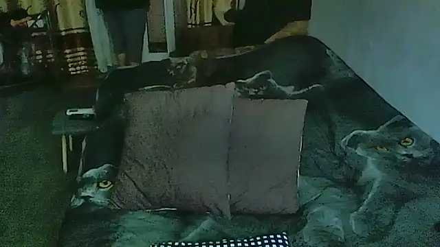 Snapshot of sex2 chatting on March 30, 2026, 12:11 am sex2 online show from March 30, 2026, 12:11 am