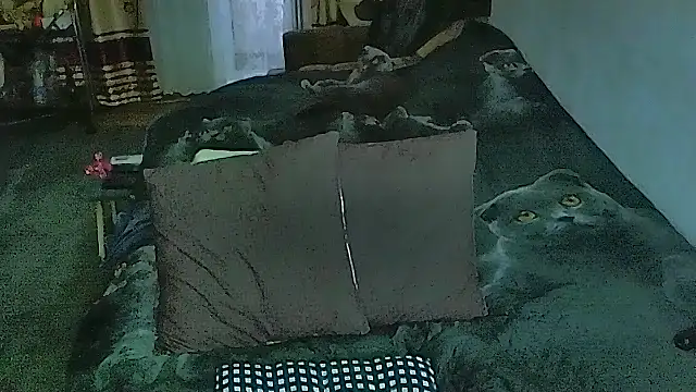 Snapshot of sex2 chatting on April 9, 2026, 12:43 am sex2 online show from April 9, 2026, 12:43 am