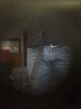 Snapshot of translove chatting on December 16, 2024, 1:43 pm translove online show from December 16, 2024, 1:43 pm