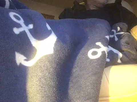 Snapshot of translove chatting on February 14, 2025, 8:05 pm translove online show from February 14, 2025, 8:05 pm