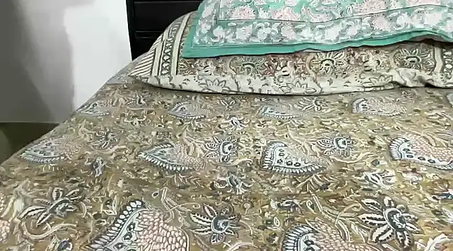 Snapshot of Greekartsguru chatting on December 29, 2024, 11:29 am Greekartsguru online show from December 29, 2024, 11:29 am