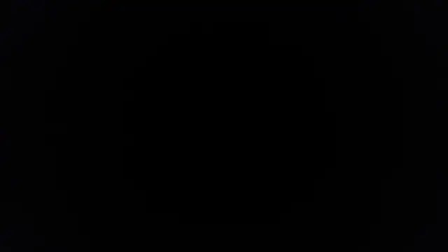 Snapshot of palidin1 chatting on November 25, 2025, 10:37 am palidin1 online show from November 25, 2025, 10:37 am