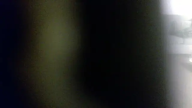 Snapshot of palidin1 chatting on February 1, 2026, 7:51 am palidin1 online show from February 1, 2026, 7:51 am