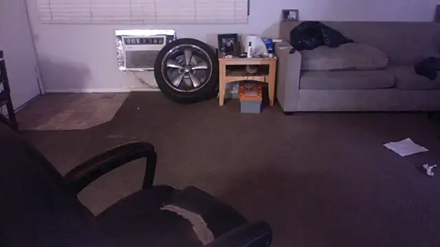 Snapshot of palidin1 chatting on April 17, 2026, 7:33 am palidin1 online show from April 17, 2026, 7:33 am
