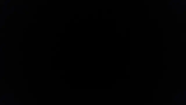 Snapshot of palidin1 chatting on June 27, 2026, 7:41 pm palidin1 online show from June 27, 2026, 7:41 pm