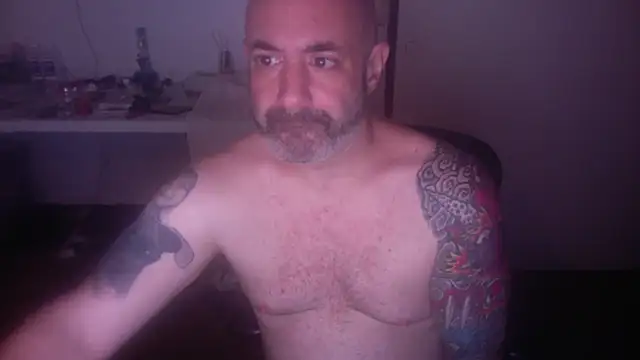 Snapshot of palidin1 chatting on July 6, 2026, 8:00 am palidin1 online show from July 6, 2026, 8:00 am