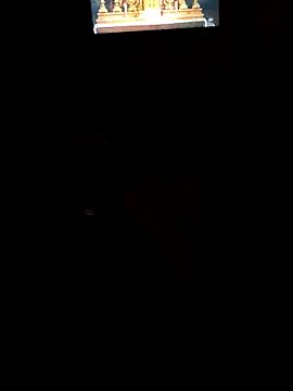 baygizemliadam online show from November 3, 2025, 12:24 am