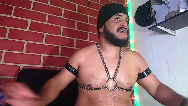 the master foal  online show from January 3, 2025, 6:14 pm