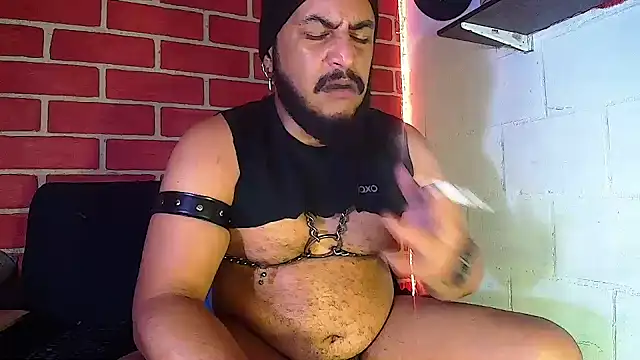 the master foal  online show from January 12, 2025, 11:39 am