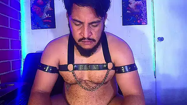 the master foal  online show from February 19, 2025, 7:50 am