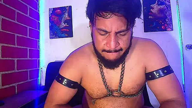 the master foal  online show from February 20, 2025, 1:30 pm