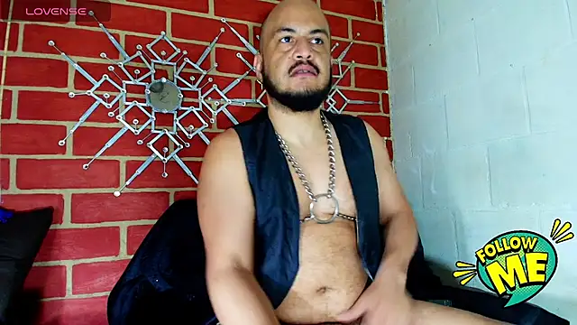 the master foal  online show from October 1, 2025, 2:34 pm