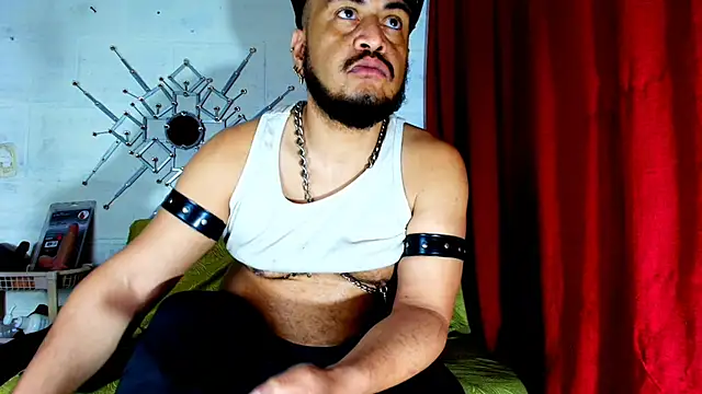 the master foal  online show from November 29, 2025, 11:02 am