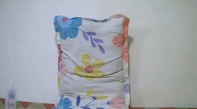 h0ney lips online show from January 13, 2025, 6:49 am