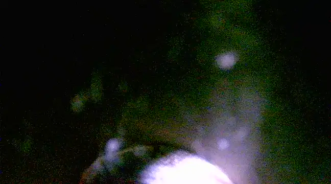 h0ney lips online show from March 1, 2025, 1:18 pm