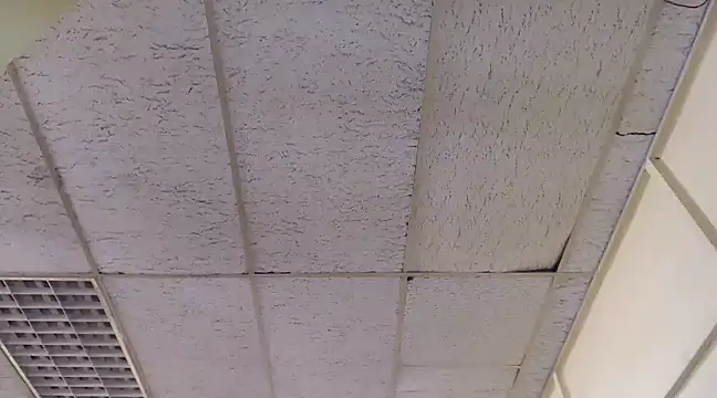 Mydreamgirrl online show from March 6, 2025, 1:46 pm