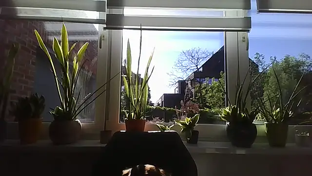 LiquidLeonie online show from April 30, 2026, 7:04 am