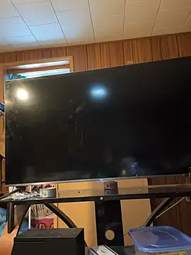 Mini And The Bear online show from March 29, 2026, 3:01 pm