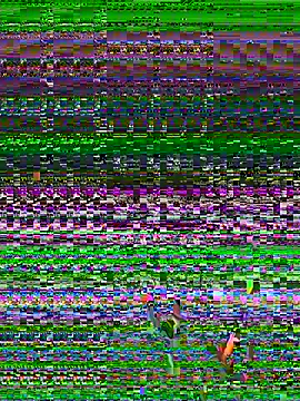Snapshot of Sarita-candy chatting on July 23, 2026, 11:35 pm Sarita-candy online show from July 23, 2026, 11:35 pm