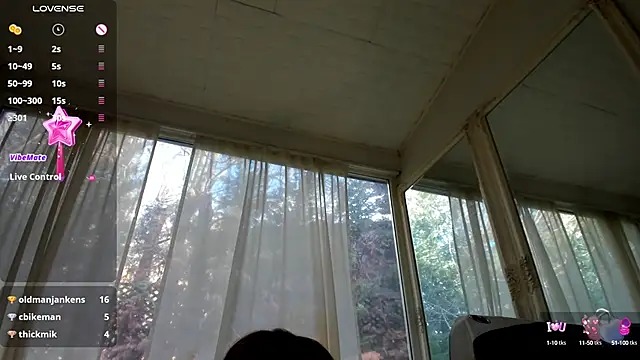 PixieLand online show from January 29, 2025, 11:41 am