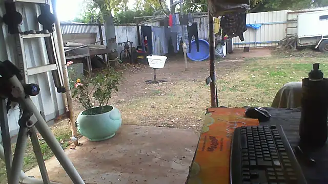Snapshot of herbie010666 chatting on August 3, 2026, 4:22 am herbie010666 online show from August 3, 2026, 4:22 am