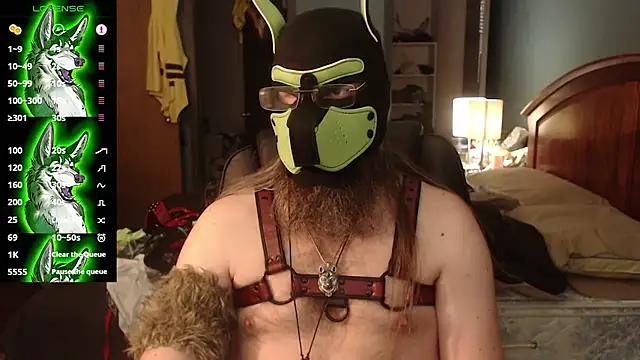 kinkywolf429 online show from July 28, 2026, 10:31 pm