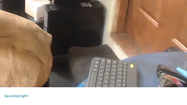 Spundaynightxh online show from February 12, 2025, 10:03 am