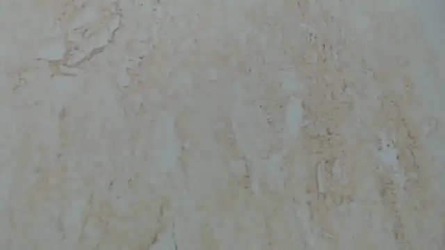 Crazy team  online show from January 8, 2025, 2:25 am