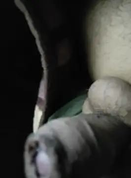 amsnjhuj online show from November 5, 2025, 1:05 am