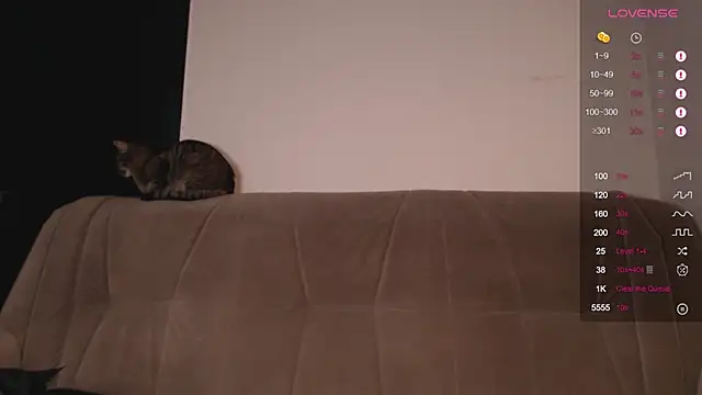 Herman Elfi online show from January 14, 2025, 2:29 am