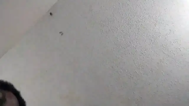 Snapshot of 247Srokin chatting on March 6, 2026, 11:01 pm 247Srokin online show from March 6, 2026, 11:01 pm