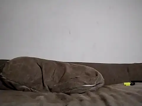 Snapshot of 247Srokin chatting on March 15, 2026, 8:31 am 247Srokin online show from March 15, 2026, 8:31 am