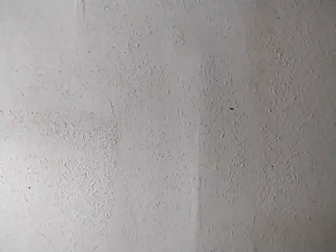 Snapshot of 247Srokin chatting on April 13, 2026, 7:14 am 247Srokin online show from April 13, 2026, 7:14 am