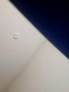 Ryeguy6969 online show from February 8, 2025, 4:04 pm